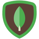 MongoDB